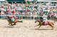 2012 - Elloree Trials - Horse Racing